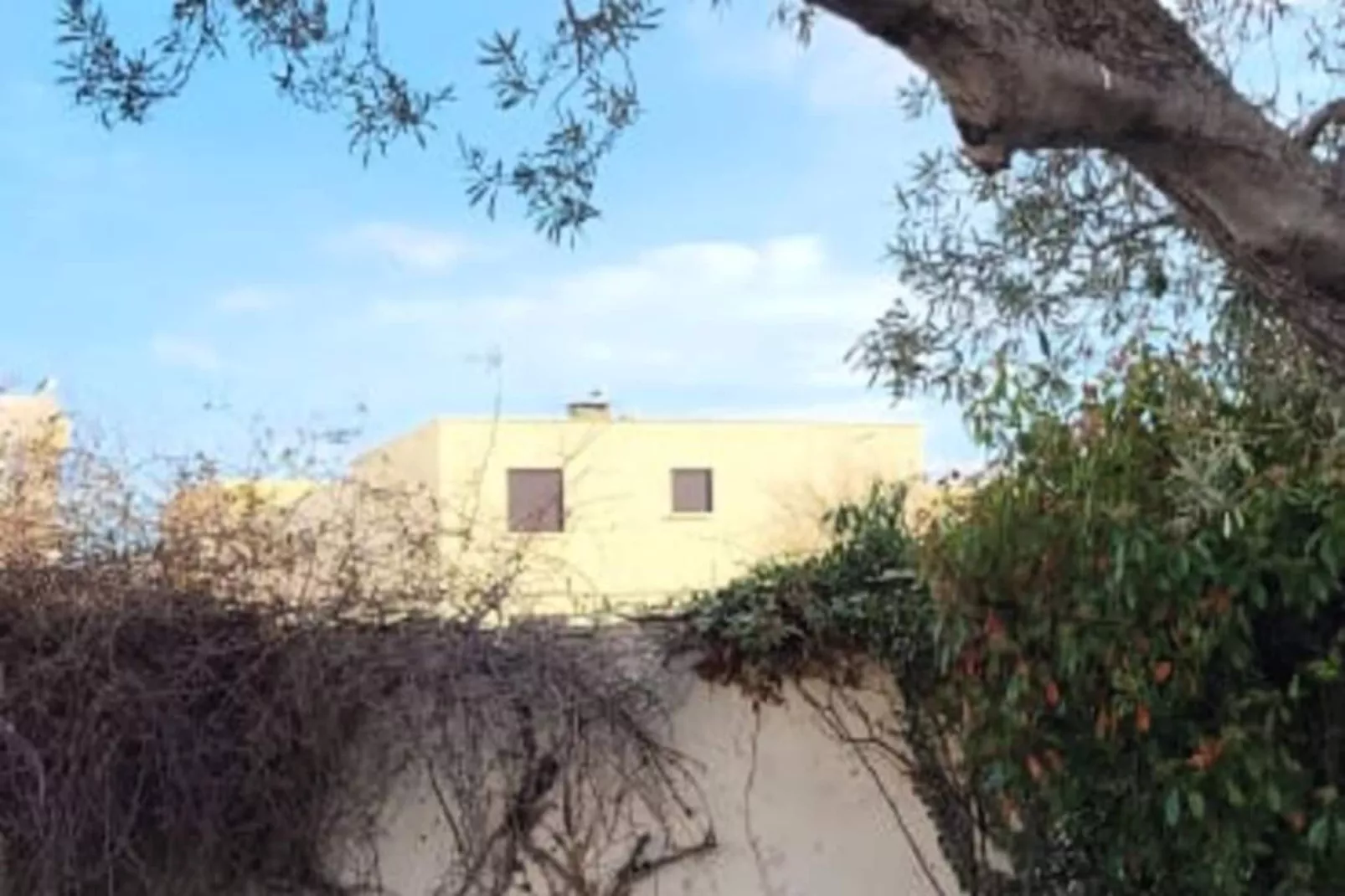 Résidence Villa Camarguaise : Entre Plage Et Centre Ville Avec Bassin Ext&eacute;rieur-Non tagué