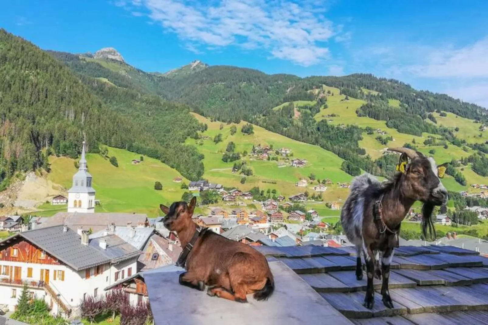 AlpChalets Portes du Soleil *****-Nicht zugeordnet