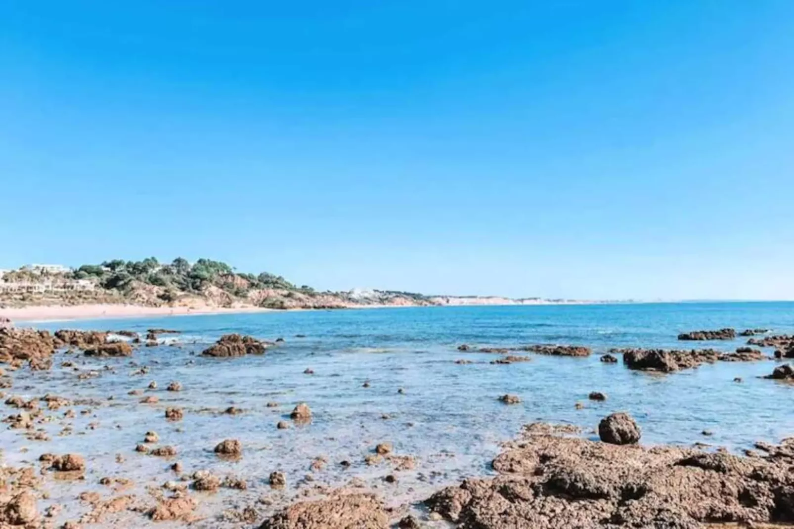 Plant Paradise Apartment-Nicht zugeordnet