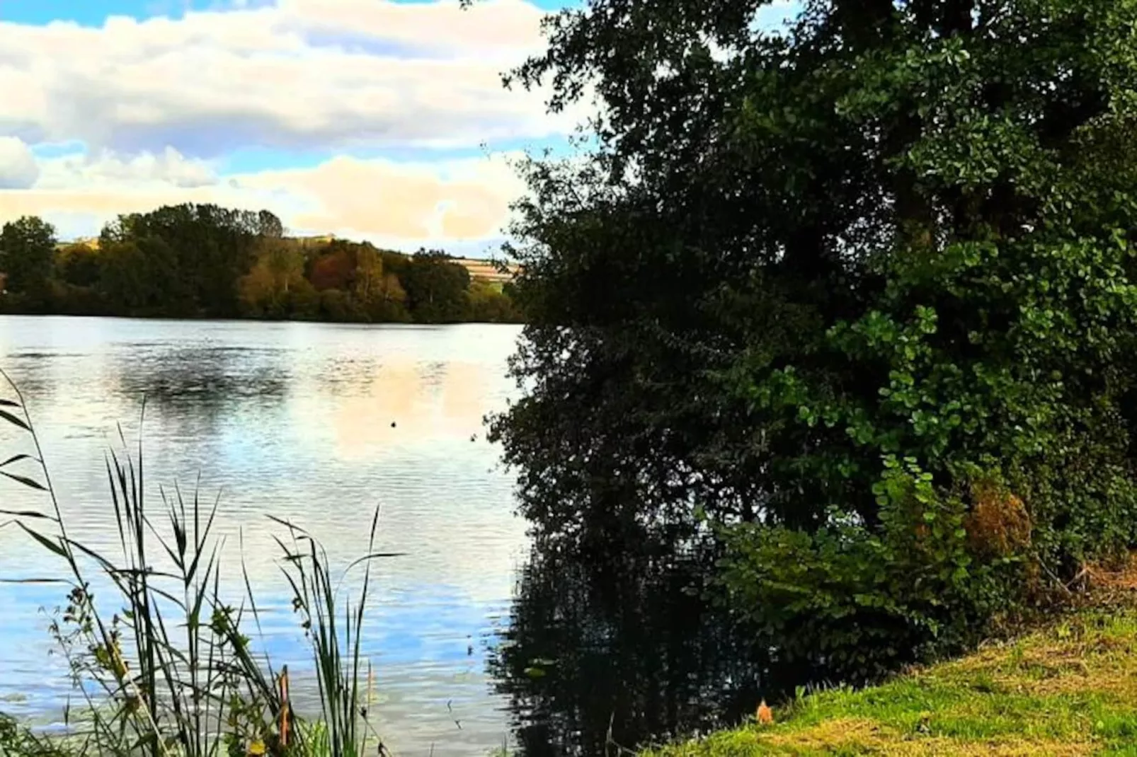 Résidence Of08 - Maison Entre Mer Et For&ecirc;t-Untagged