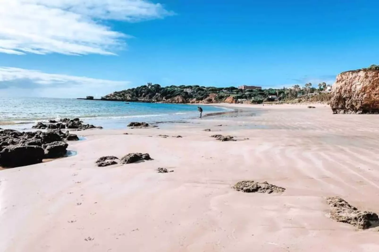 Plant Paradise Apartment-Nicht zugeordnet