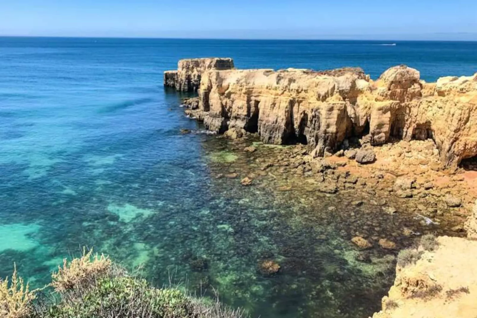 Plant Paradise Apartment-Nicht zugeordnet