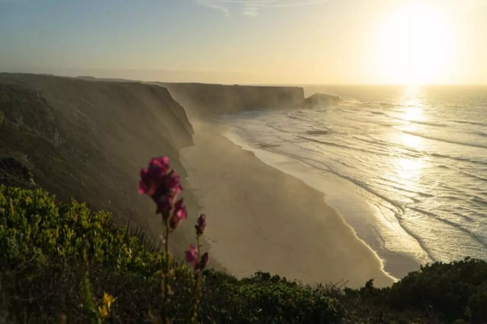 Casa Dos Sonhadores-Untagged