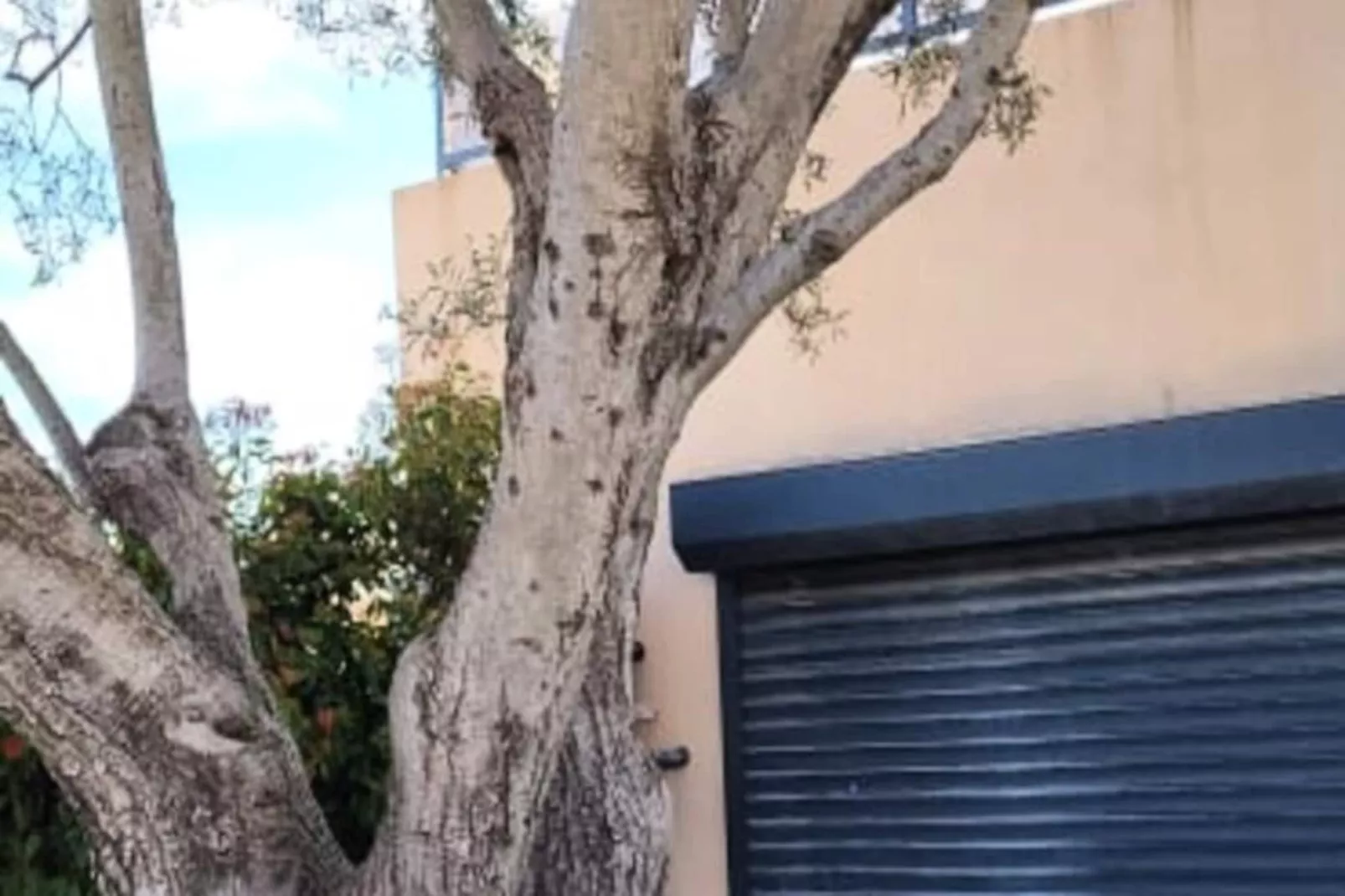 Résidence Villa Camarguaise : Entre Plage Et Centre Ville Avec Bassin Ext&eacute;rieur-Non tagué
