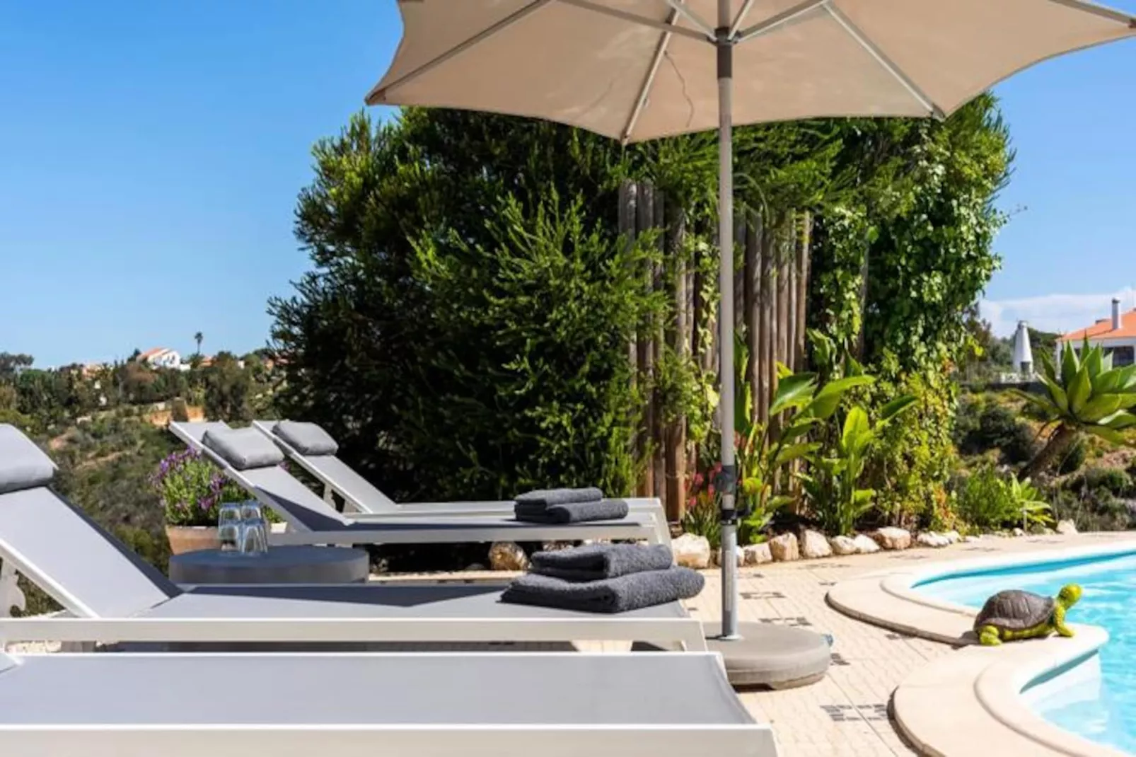 Duas Palmeiras-Nicht zugeordnet