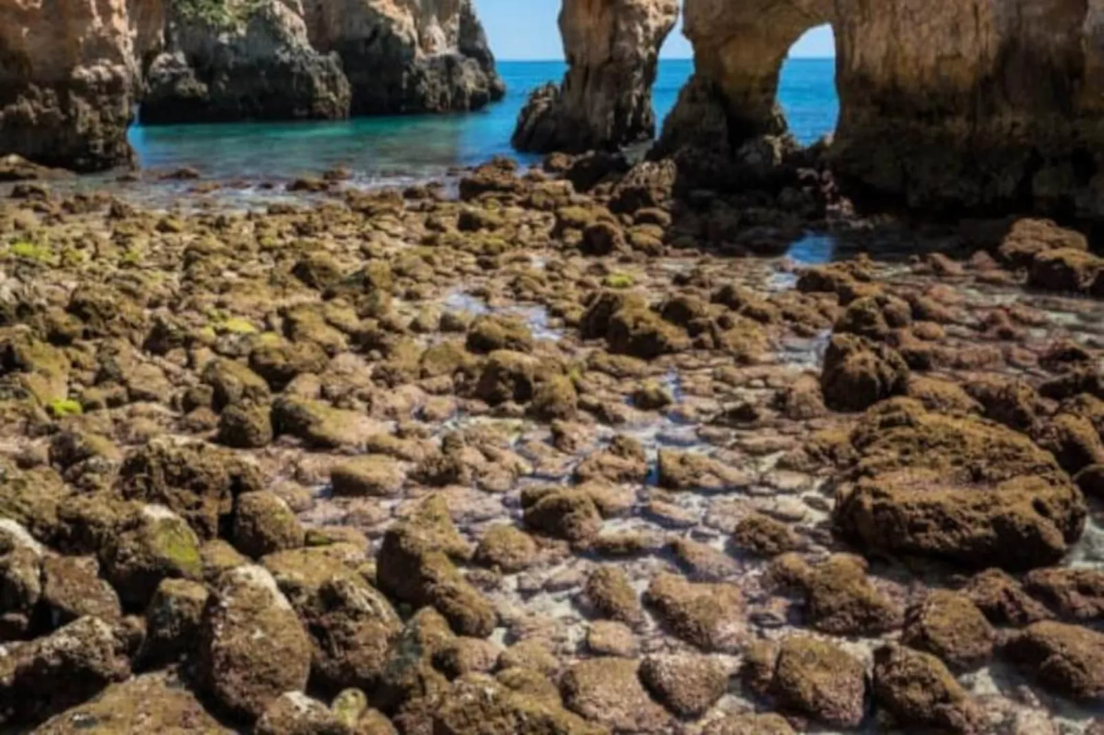 Luz Ocean Club - Sea Blue Apartment-Untagged