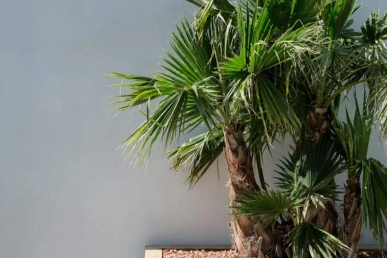 Résidence La Perle Rose Villa Standing 5 &eacute;toiles Avec Piscine Jacuzzi Et Superbe Vue-Nicht zugeordnet