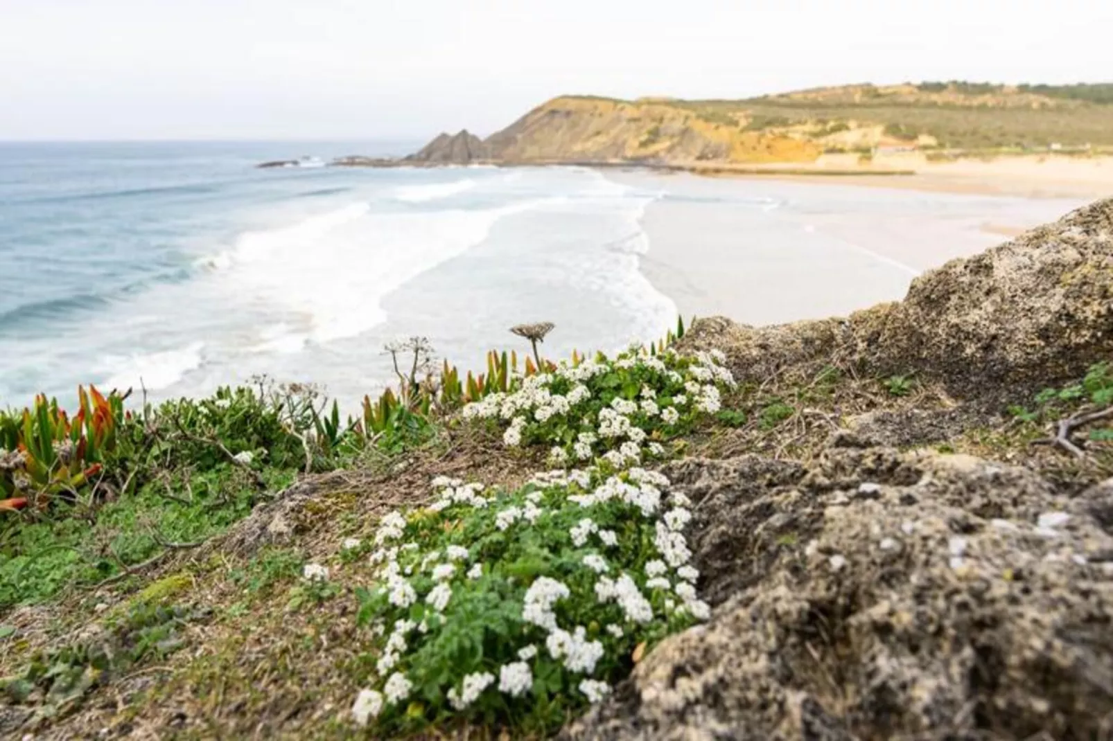 Casa Dos Sonhadores-Untagged