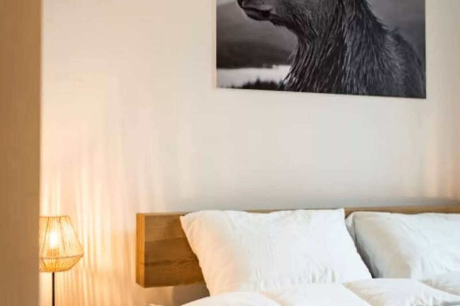 Résidence Le Rep&egrave;re Des Cerfs - Acc&egrave;s Val Thorens-Nicht zugeordnet