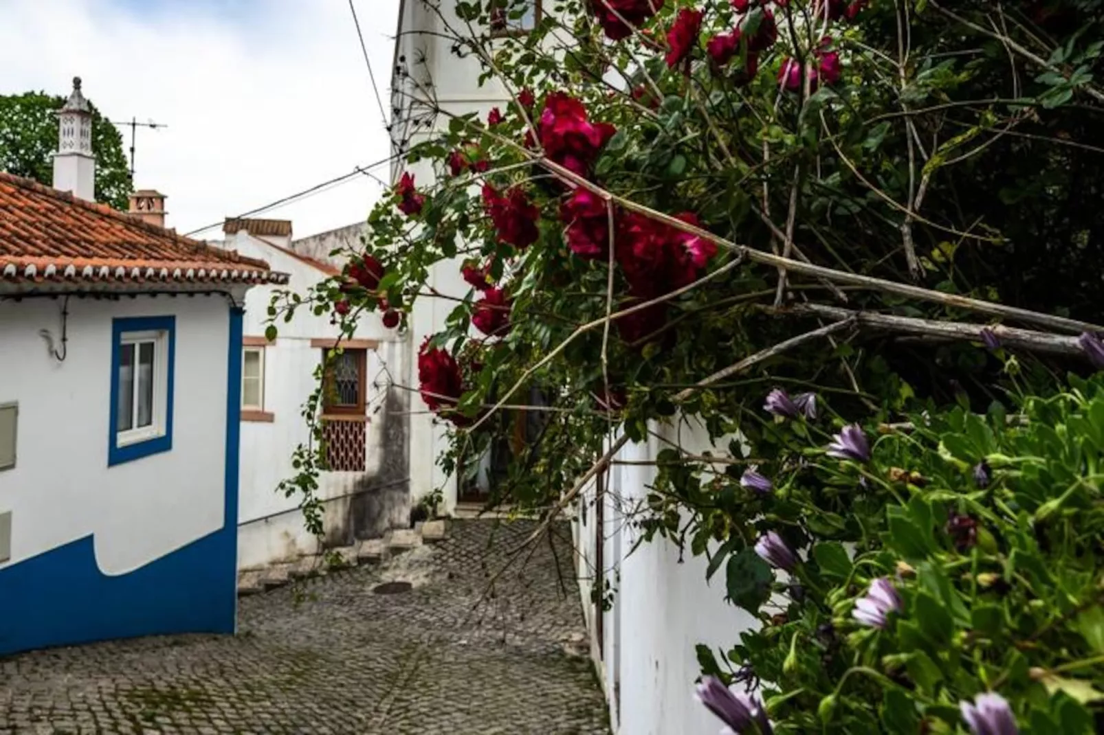 Casa Do Amor-Nicht zugeordnet