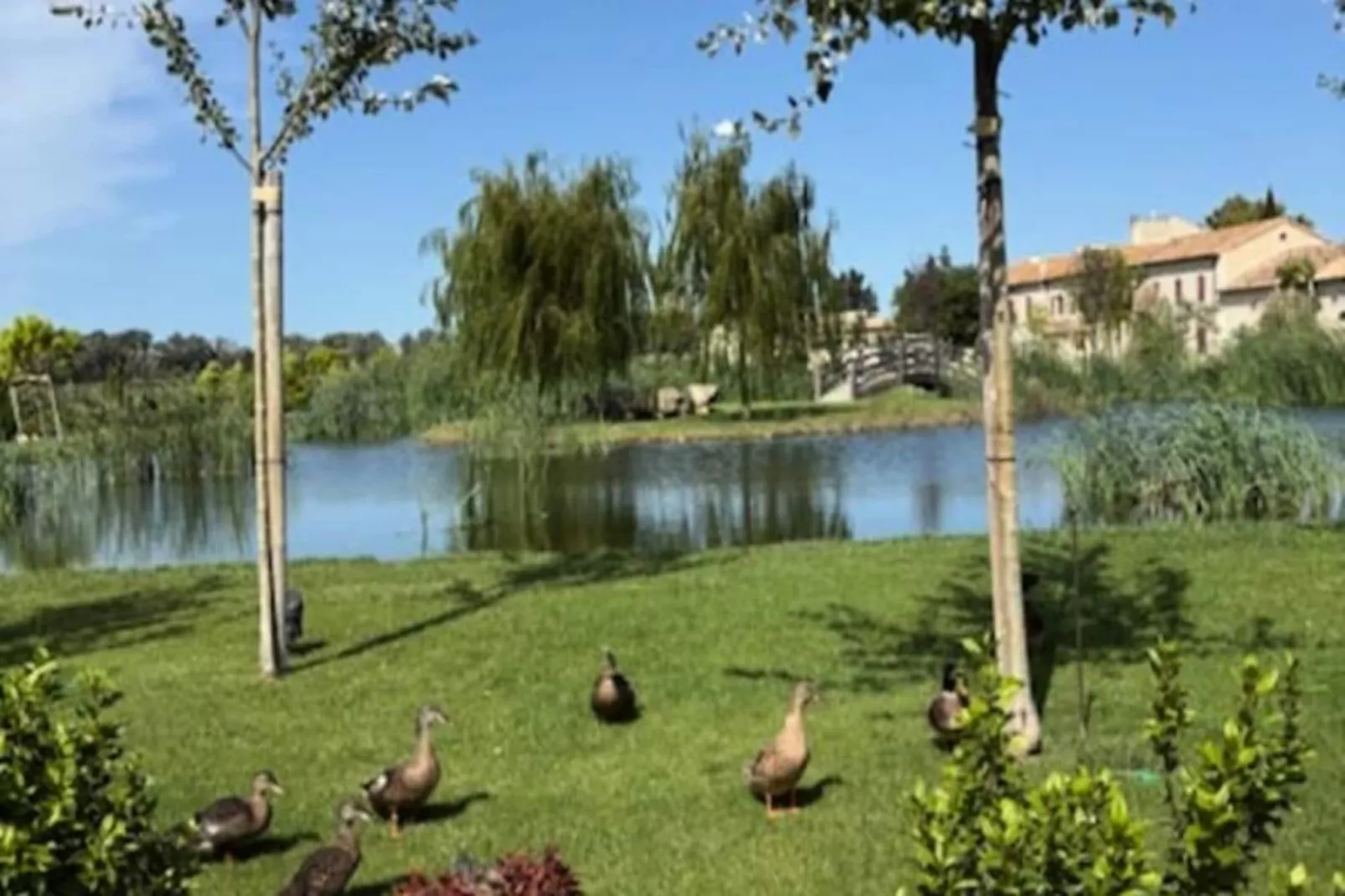 Le Mas Caladoc &ndash; Domaine De Luxe Avec Spa Privatif En Provence-Untagged