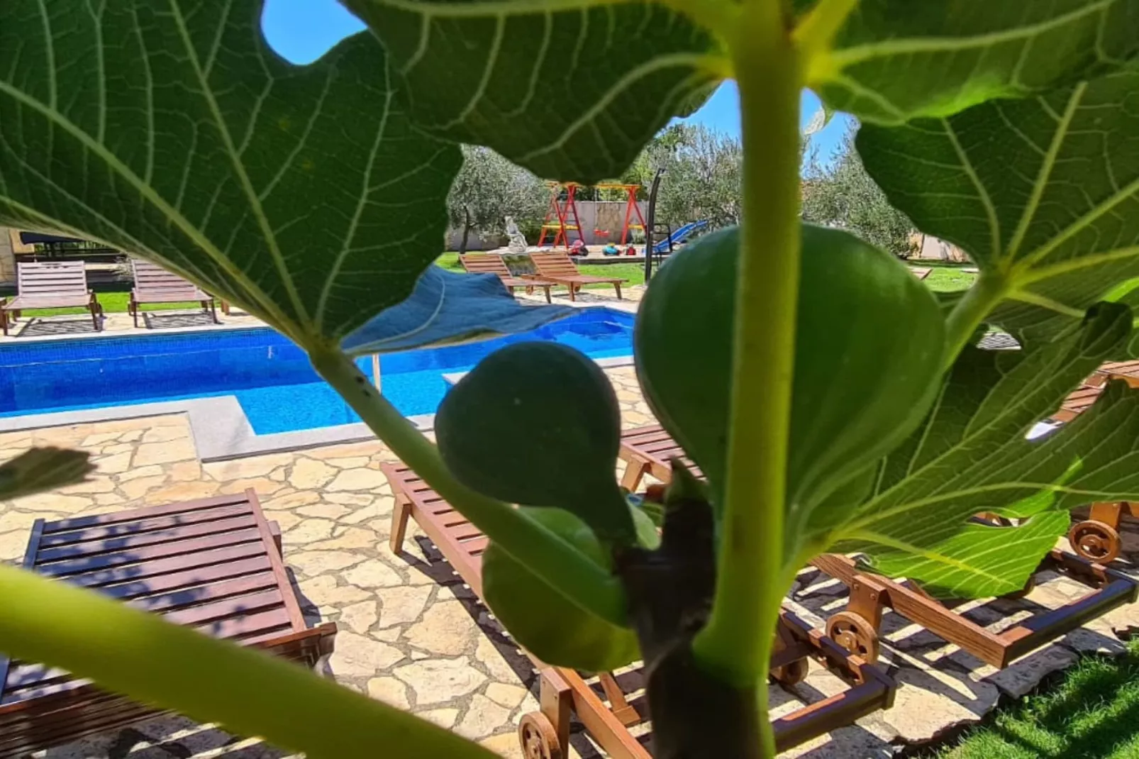 Villa Popovića Dvori -  Six Bedroom Villa with Pool-Extérieur