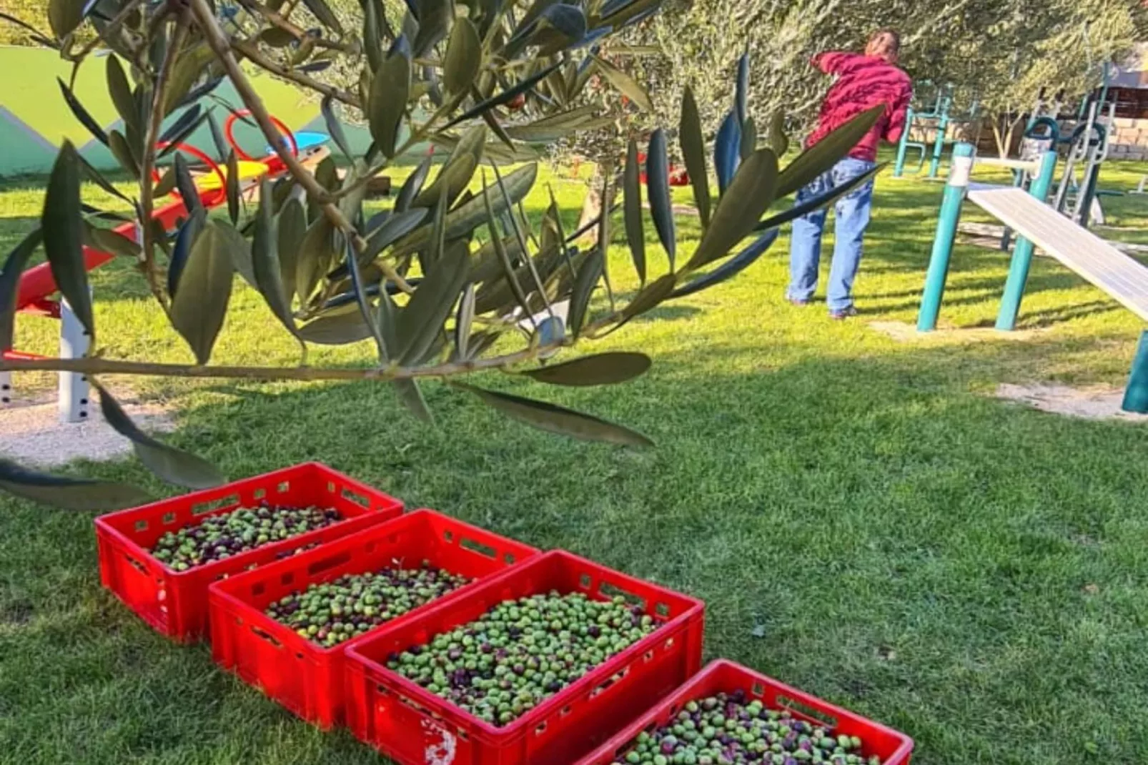 Villa Popovića Dvori -  Six Bedroom Villa with Pool-Extérieur