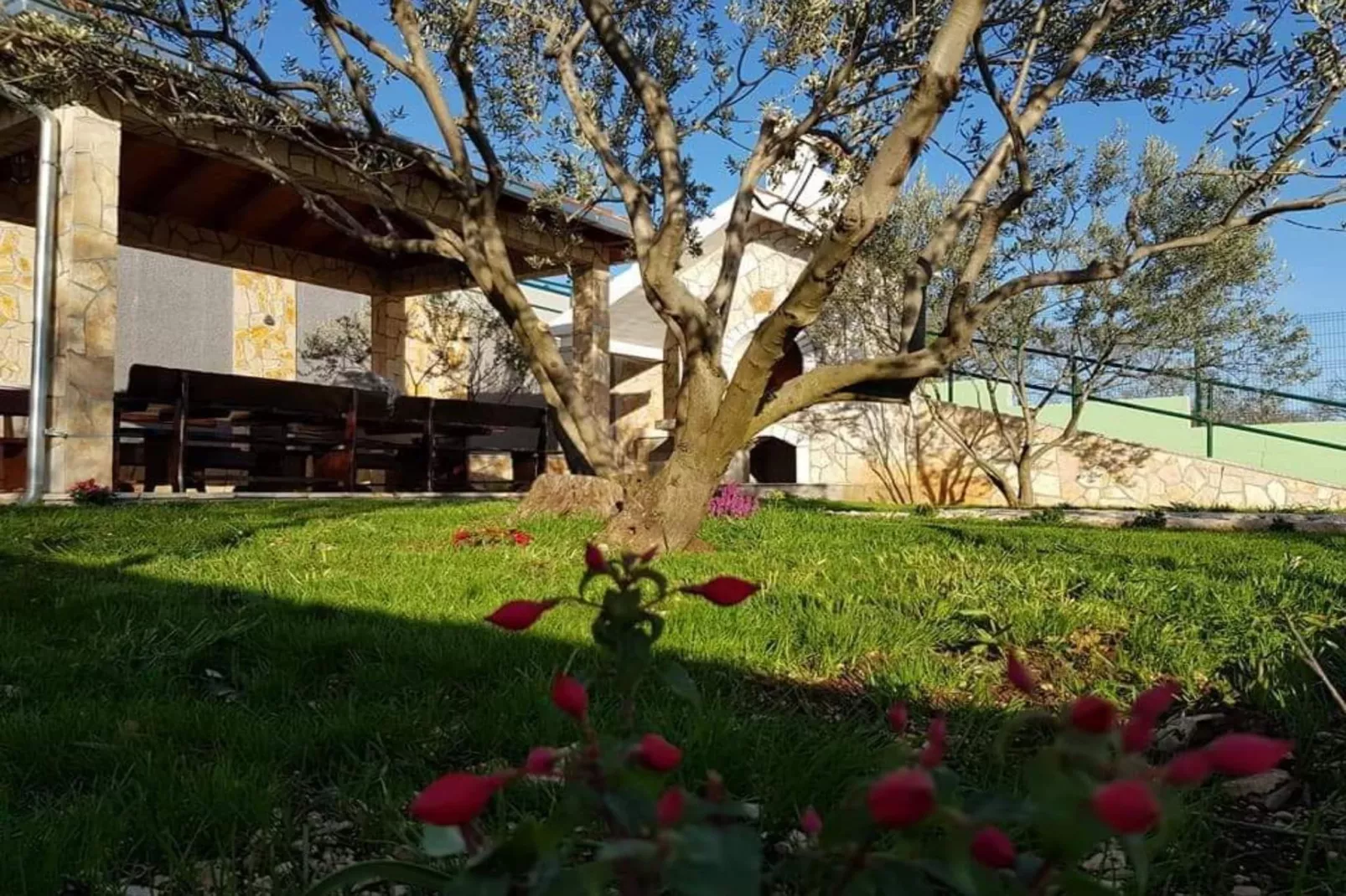 Villa Popovića Dvori -  Six Bedroom Villa with Pool-Extérieur