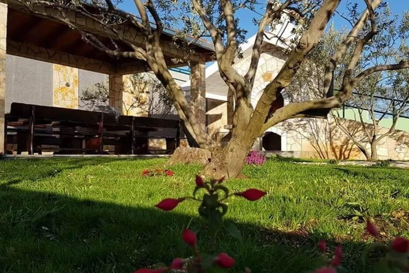 Villa Popovića Dvori -  Six Bedroom Villa with Pool-Extérieur