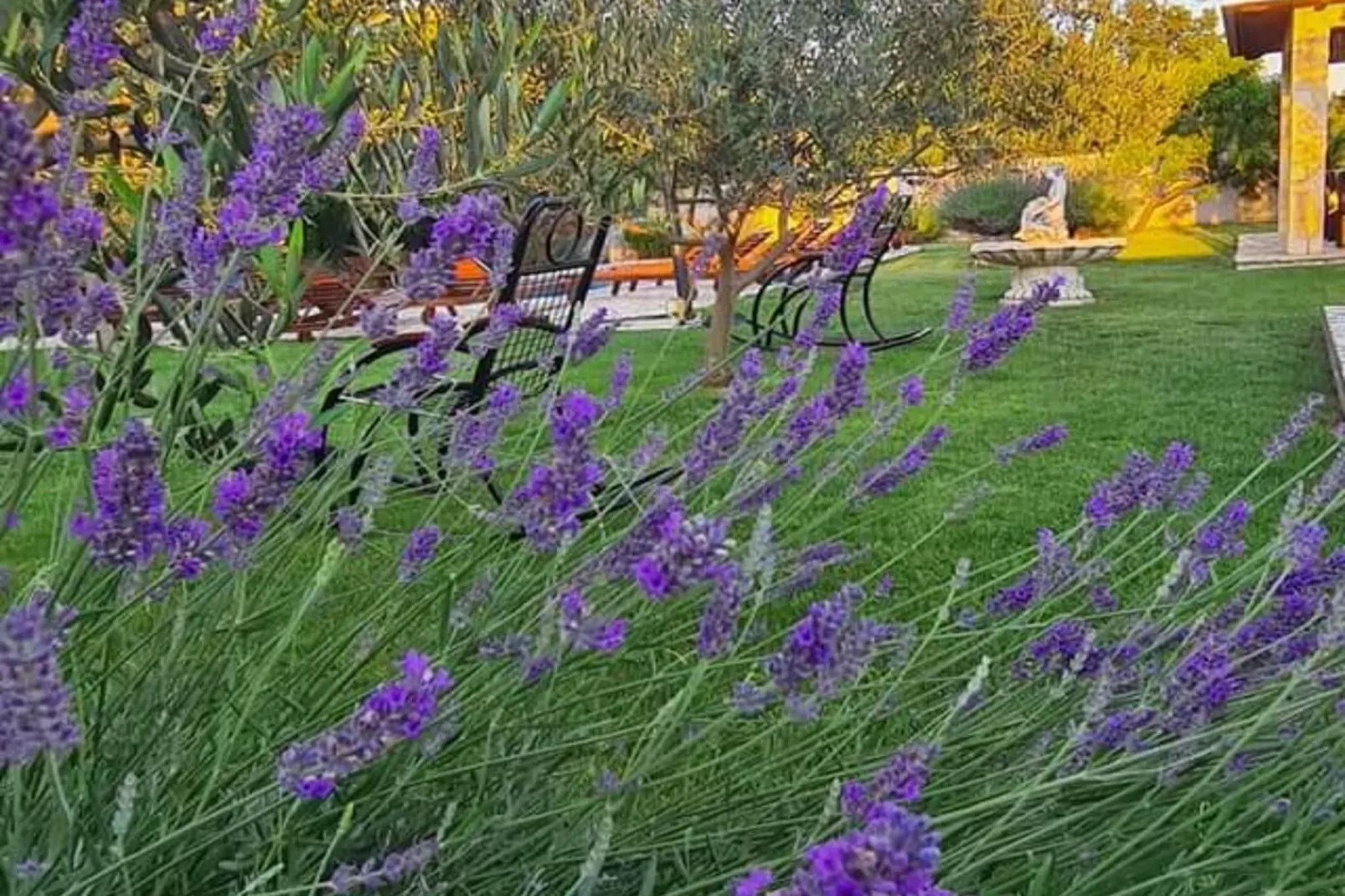 Villa Popovića Dvori -  Six Bedroom Villa with Pool-Extérieur