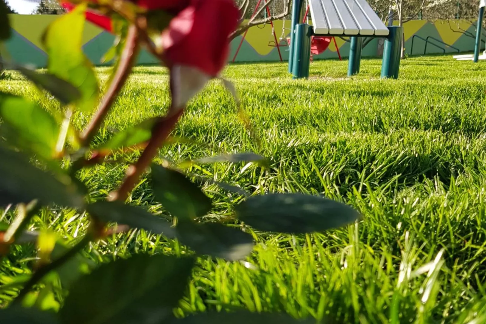 Villa Popovića Dvori -  Six Bedroom Villa with Pool-Extérieur