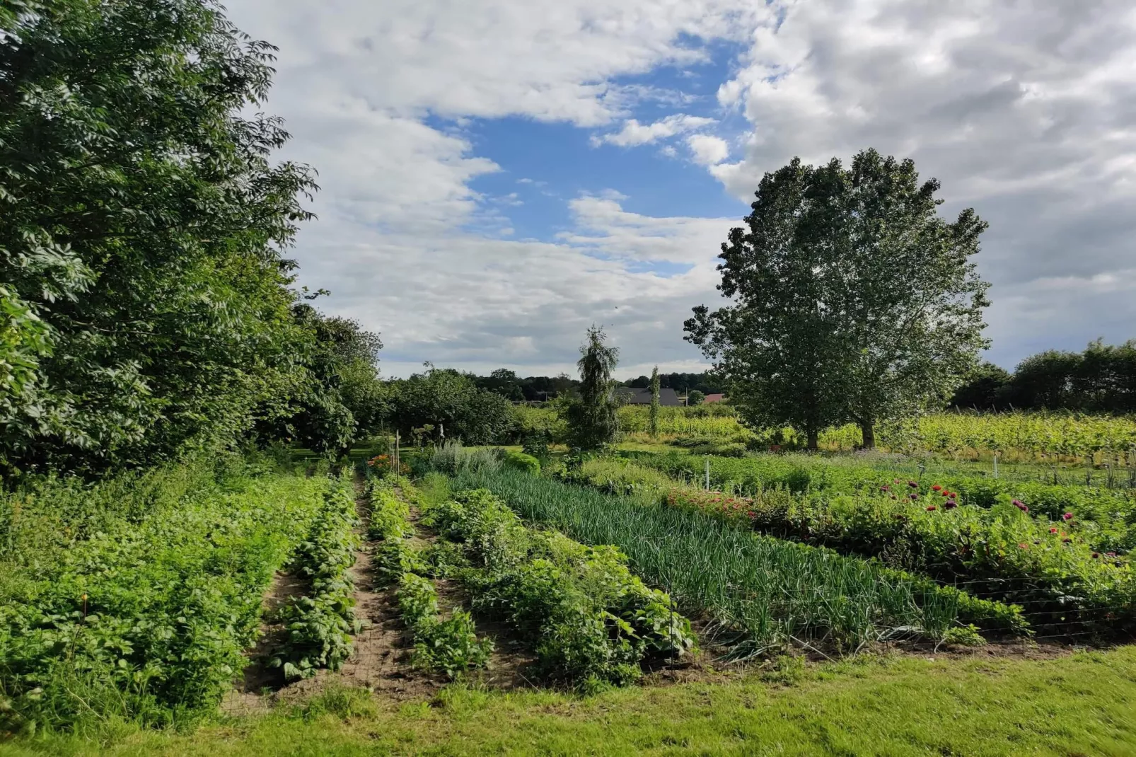 Maison de vacances pour 4 a Odder-Non tagué