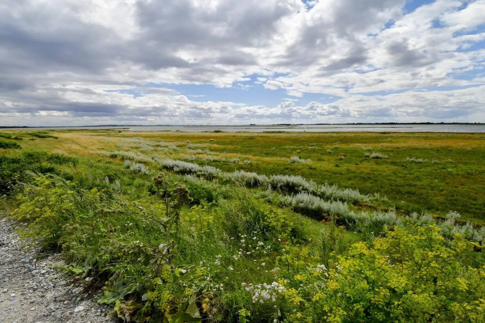8 Personen Ferienhaus in Otterup-By Traum-Nicht zugeordnet
