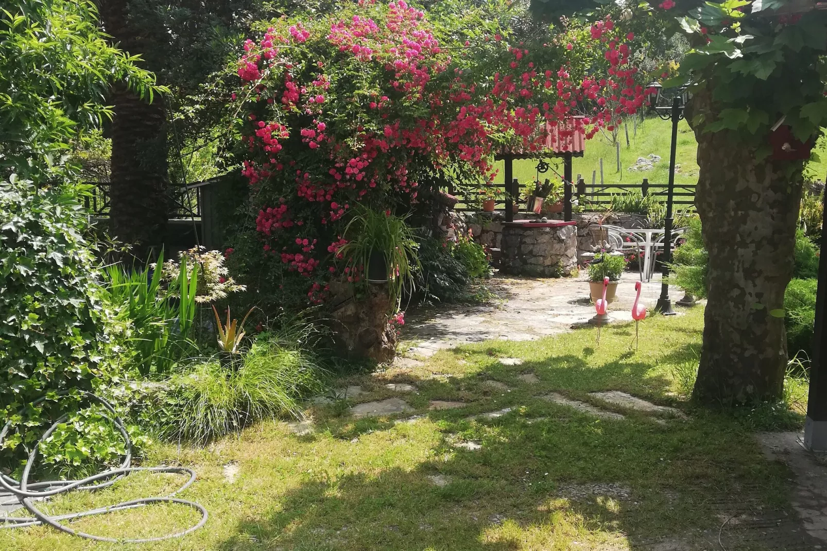 The caprice of Ros Mery-Garden winter