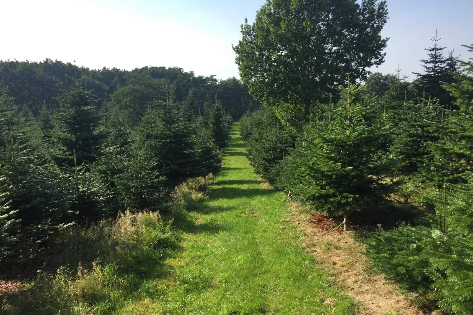 Maison de vacances pour 4 a Odder-Non tagué