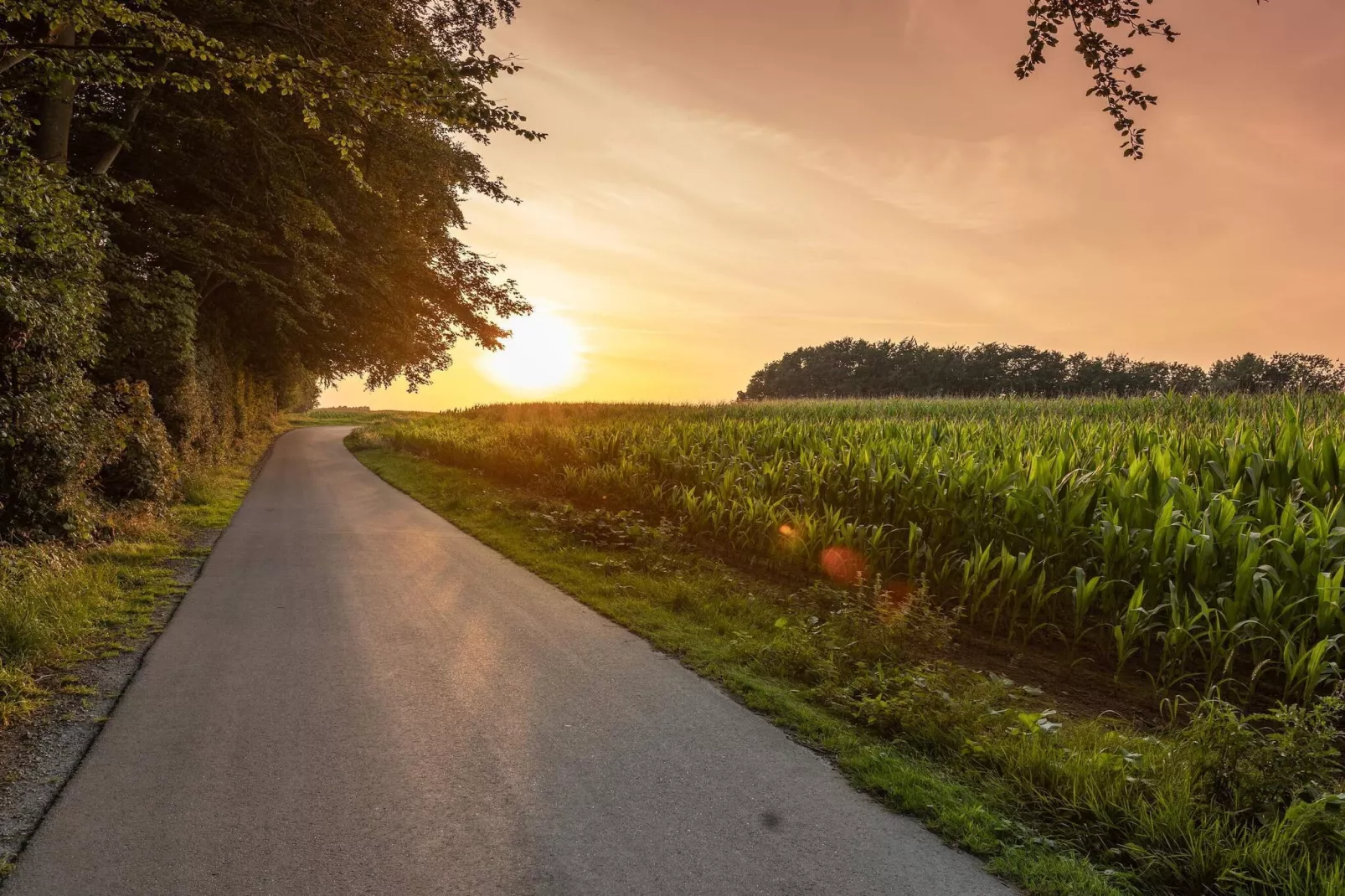Maison de vacances pour 3 a Tranekær-Vue sur l'eau