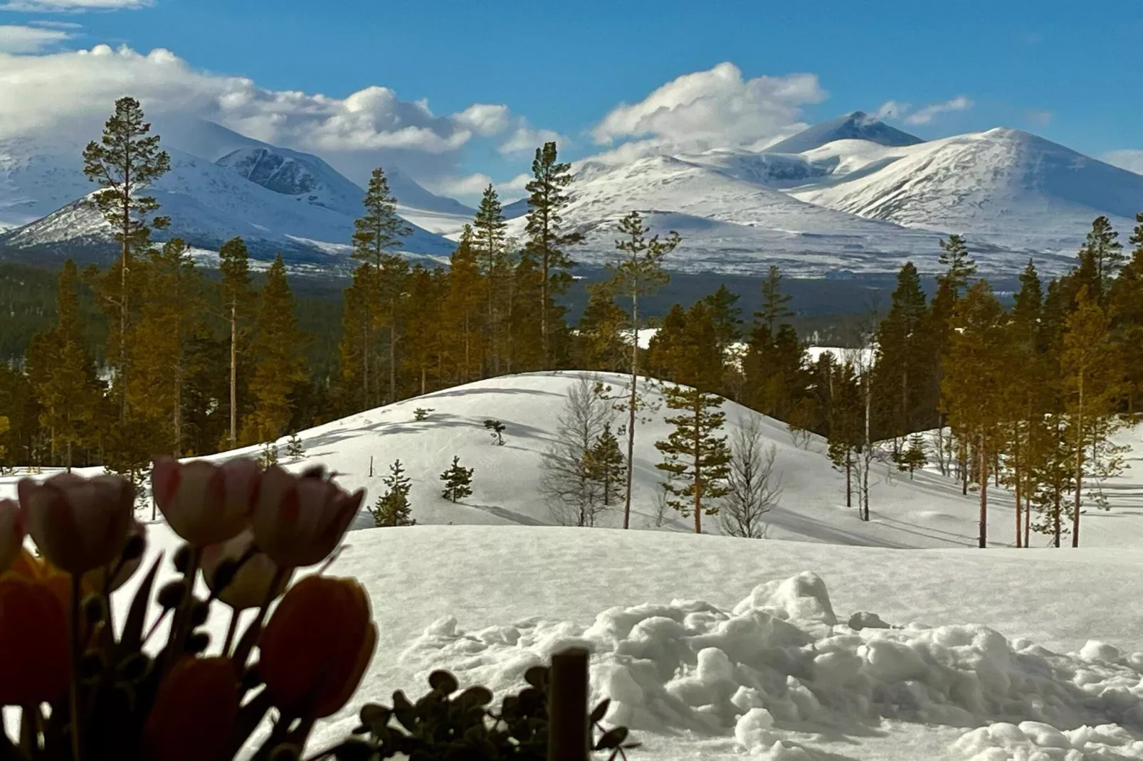 Maison de vacances pour 6 a Sollia-By Traum-Non tagué