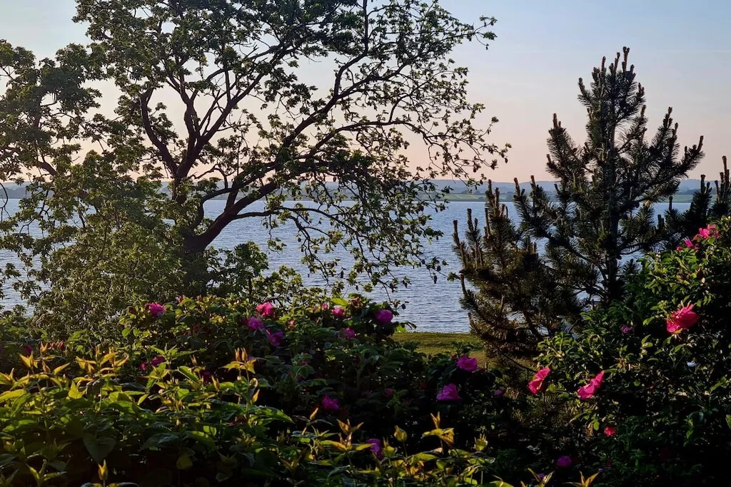 378839-Nicht zugeordnet