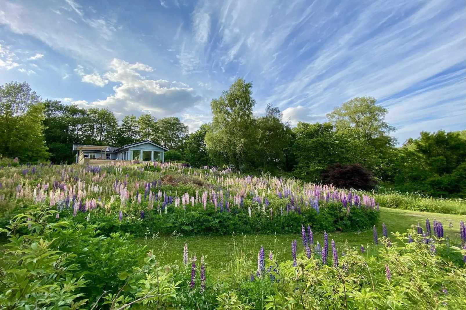 4 Sterne Ferienhaus in BRÖSARP-Im Freien