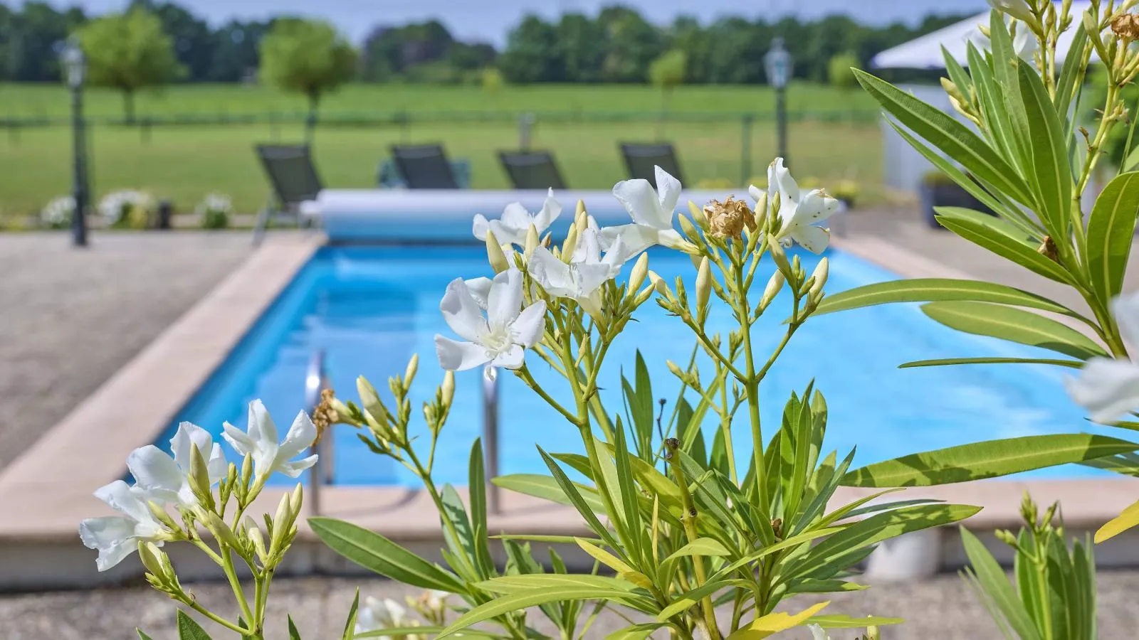 De Vrije Vogel-Piscine