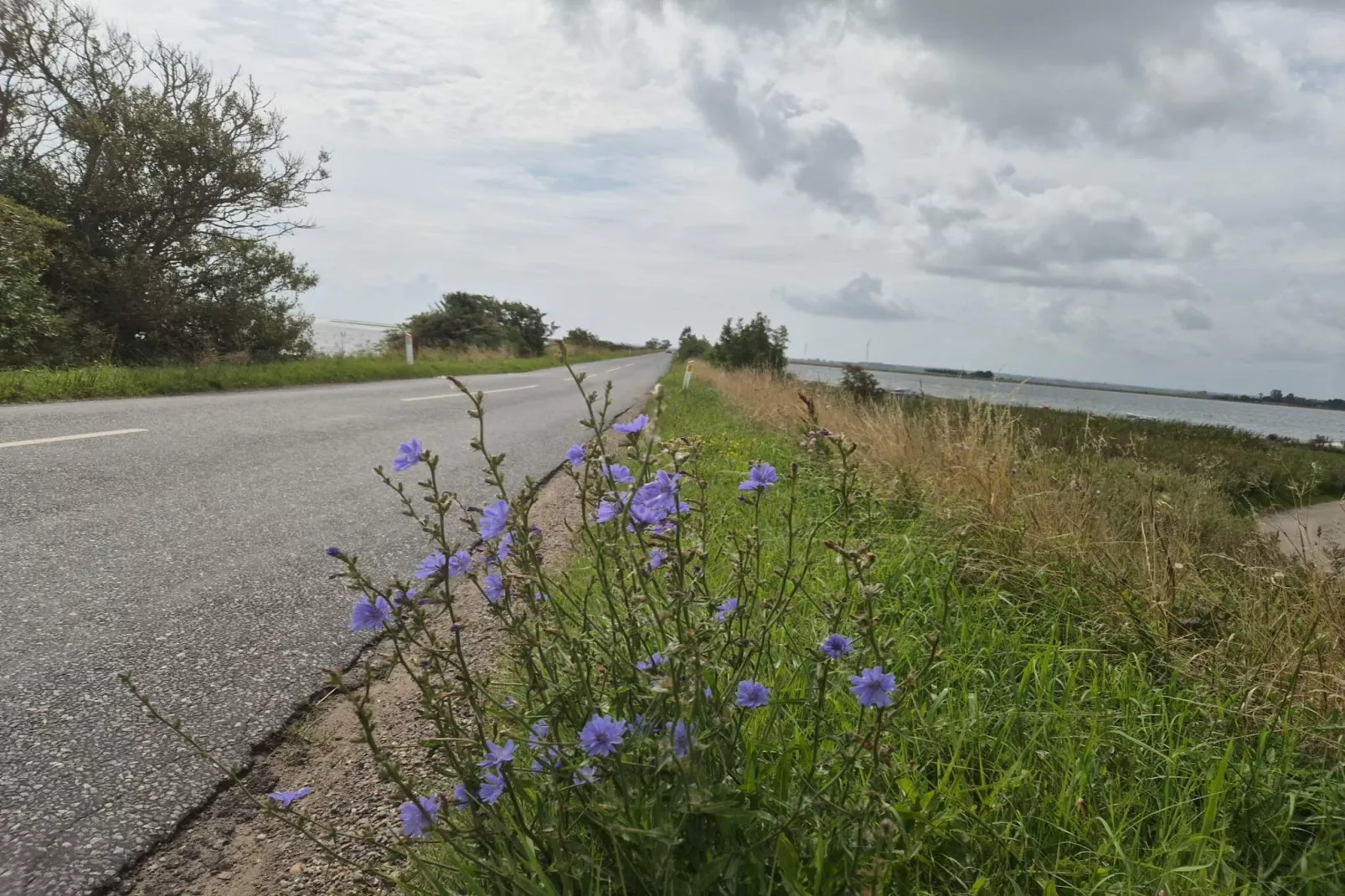 Maison de vacances pour 4 a Odder-Vue sur l'eau
