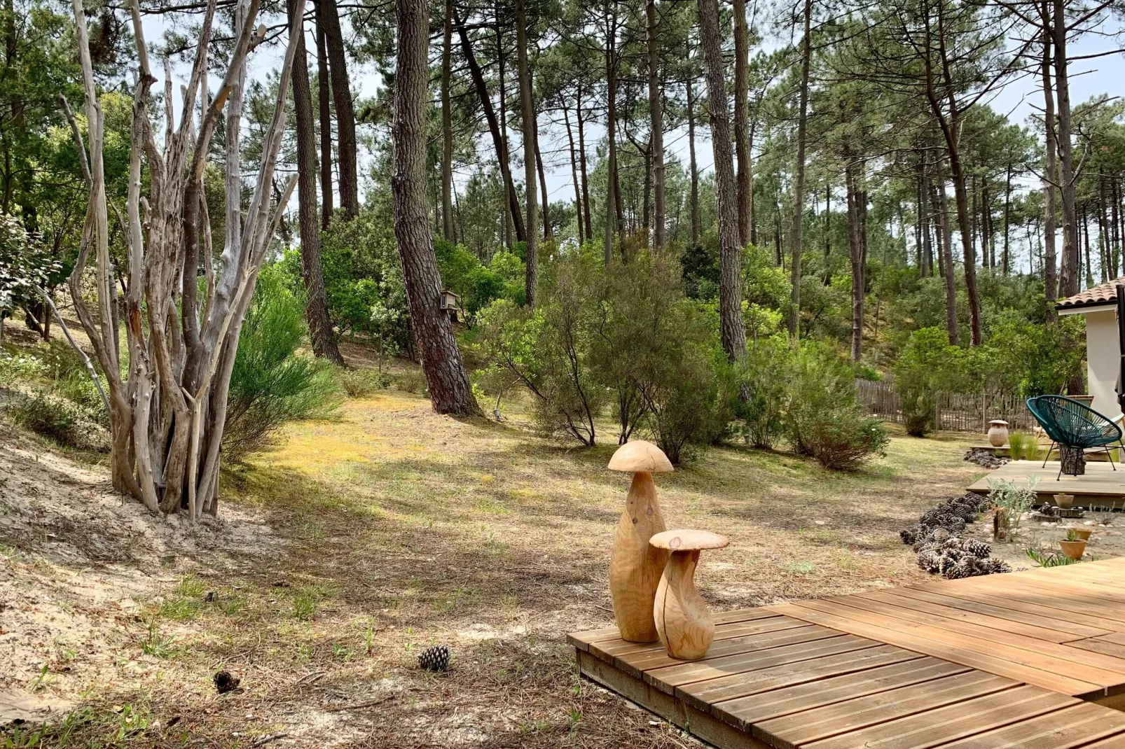 Clos les Pins-Gardens summer