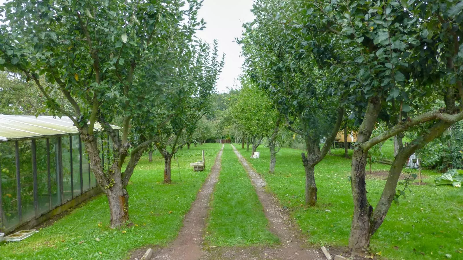 Im Harz-Gardens in summer