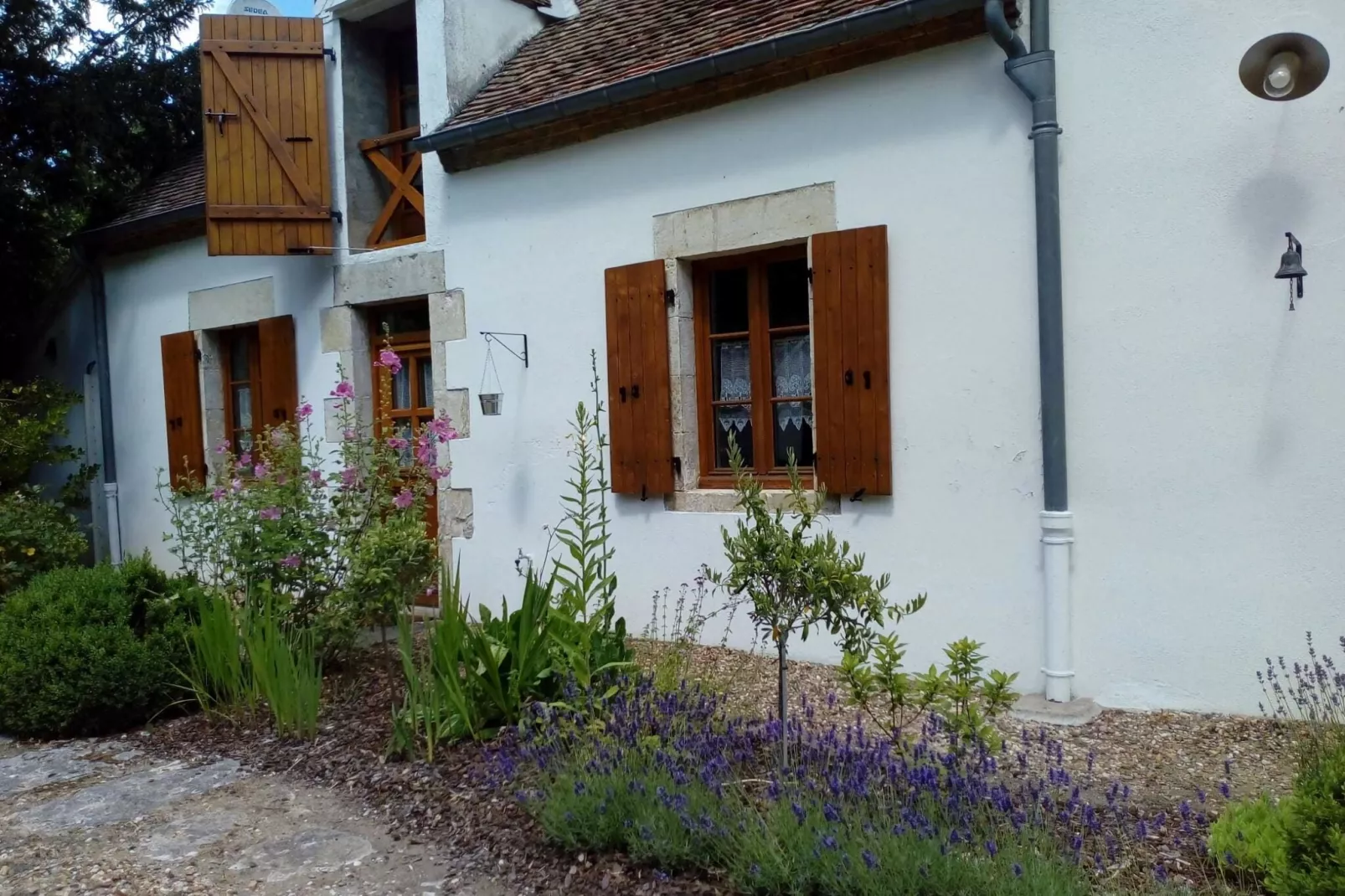 La Chantenay-Exterior summer