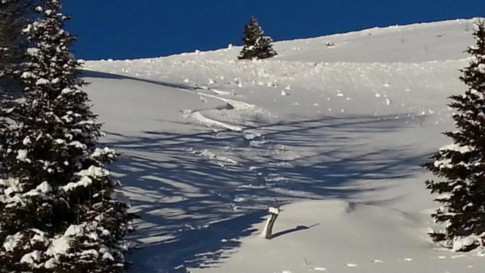 Schloßblick-Area within 20km in winter