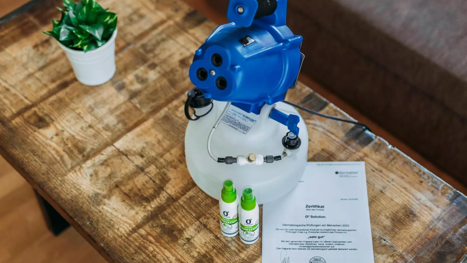 Goldhänchen-Ausstattung