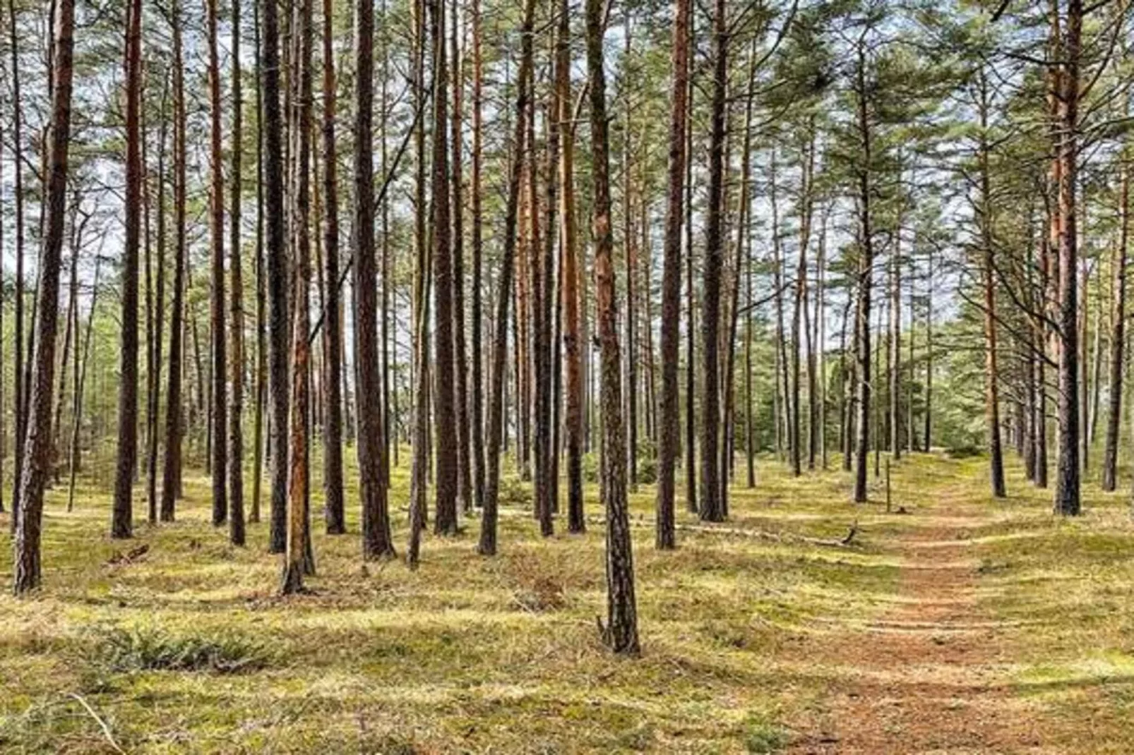 4 Sterne Ferienhaus in BRÖSARP-Im Freien