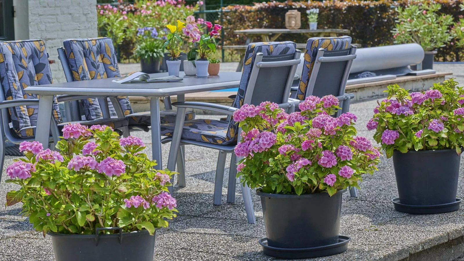 De Vrije Vogel-Installations du parc