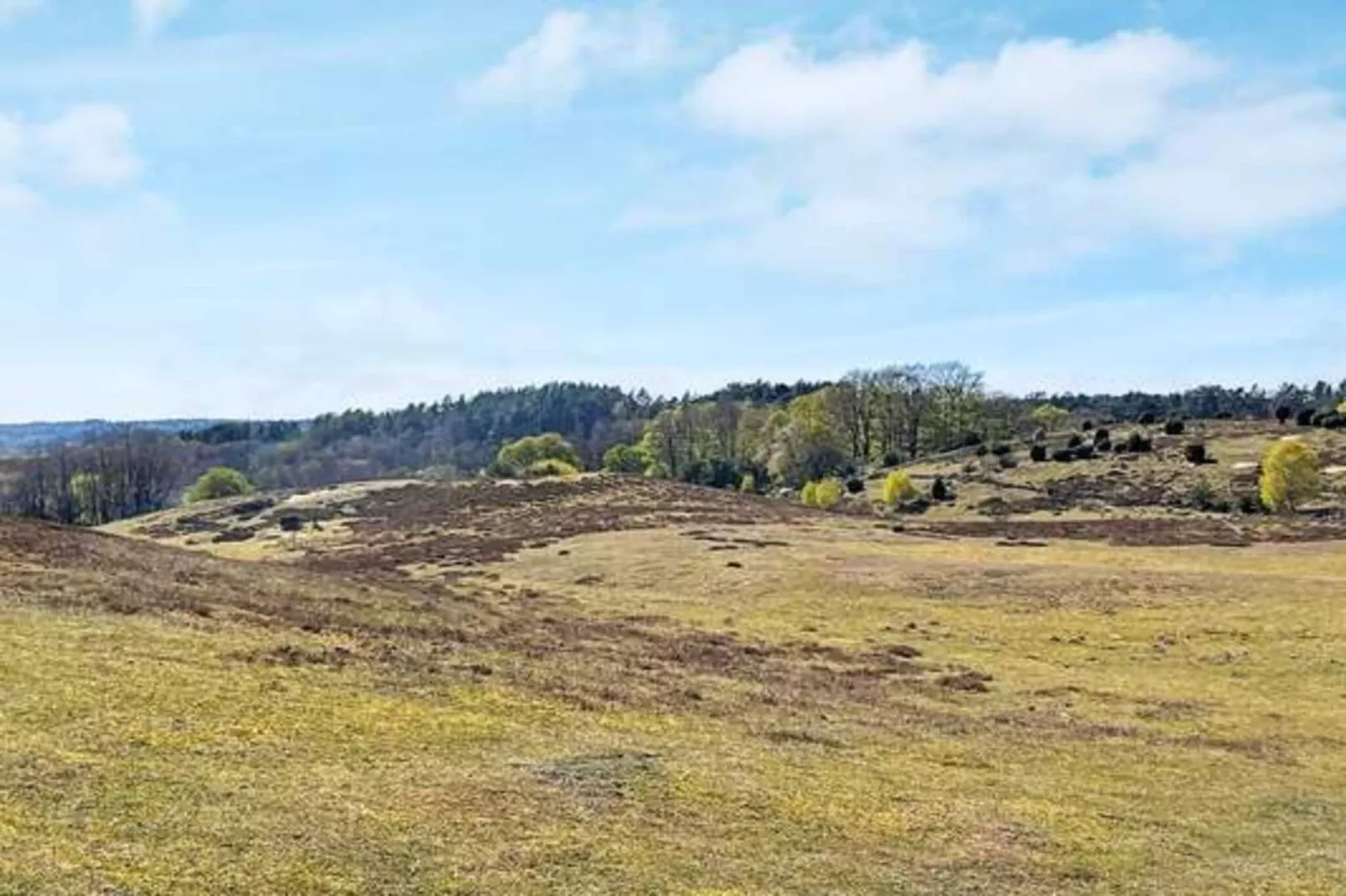4 Sterne Ferienhaus in BRÖSARP-Im Freien