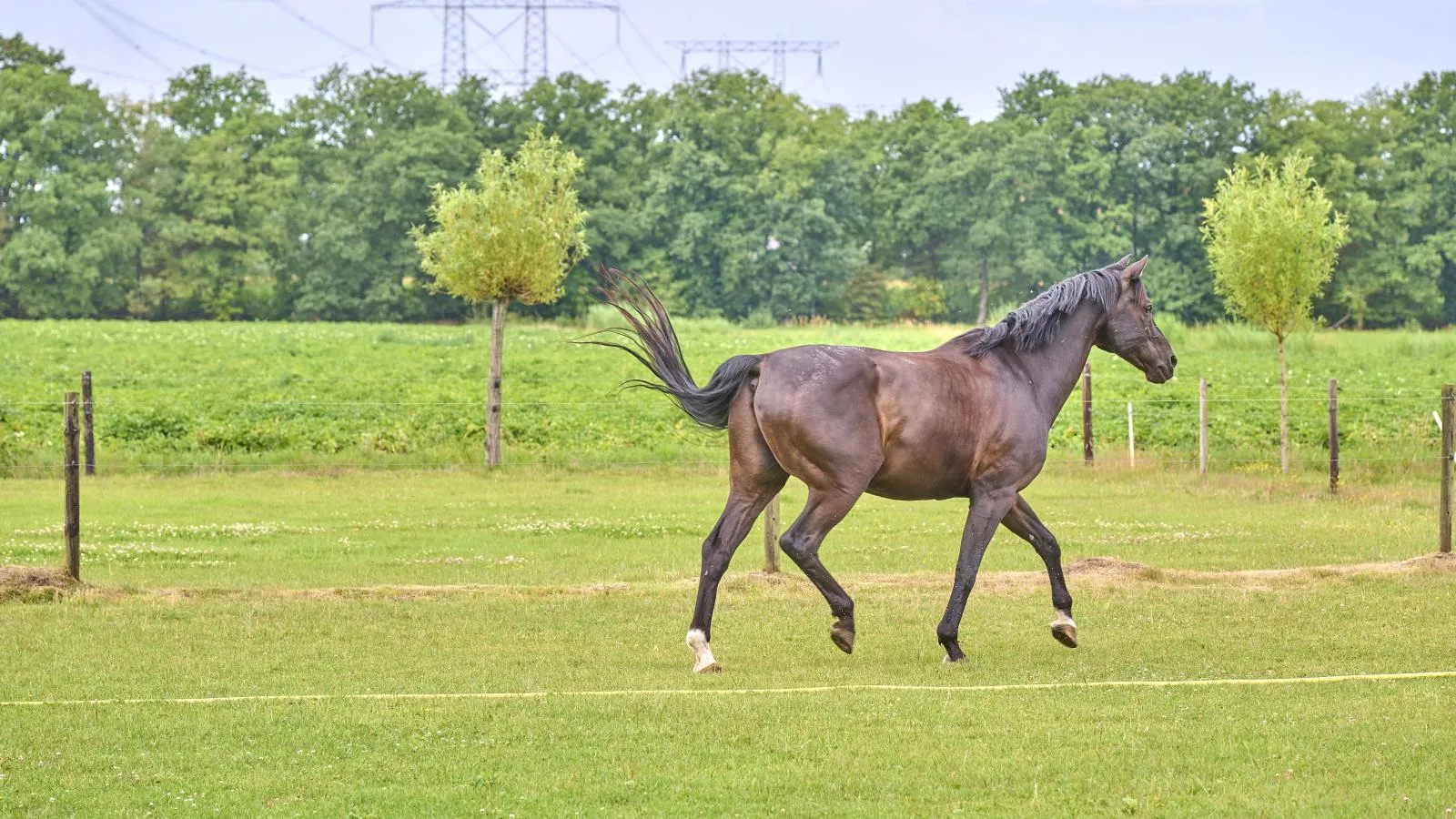 De Vrije Vogel-Zones été à 1 km