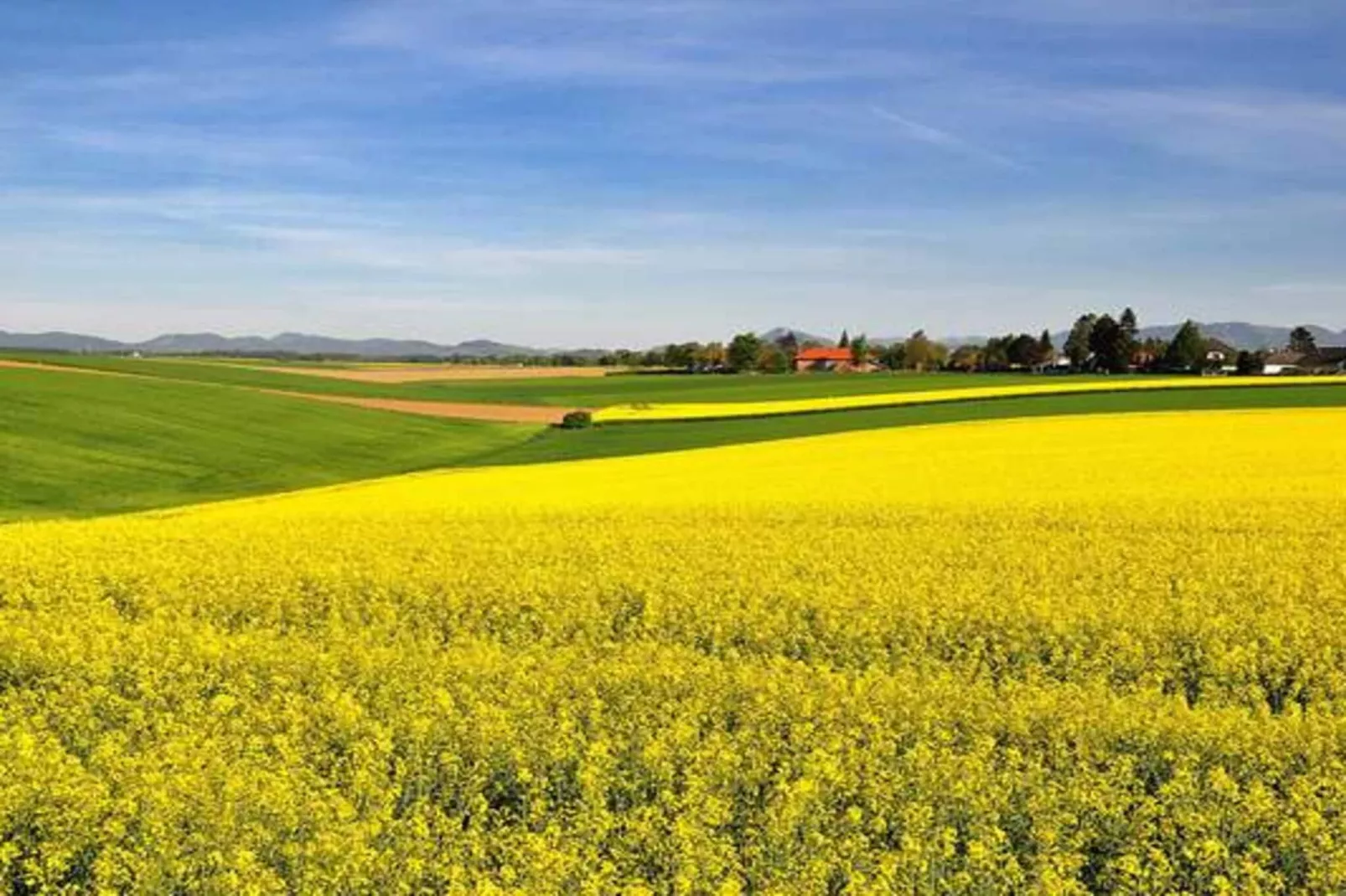 4 Sterne Ferienhaus in BRÖSARP-Im Freien