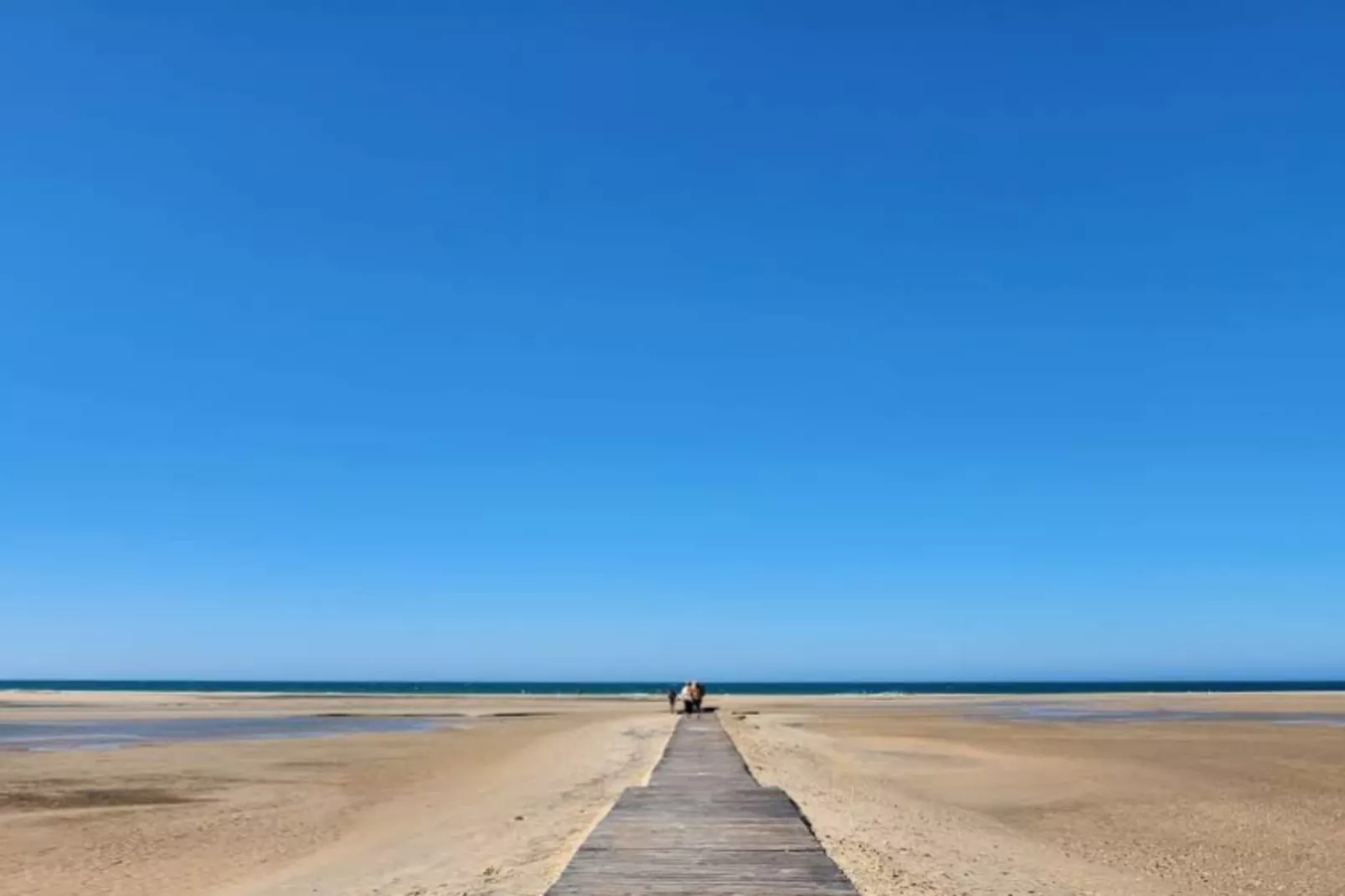 4981-+34636021638-Gebiete Sommer 5 km