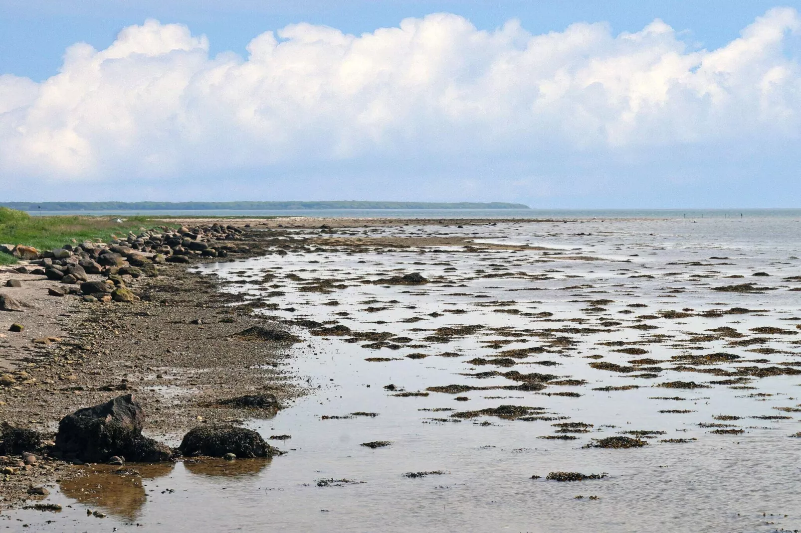 Maison de vacances pour 4 a Odder-Vue sur l'eau