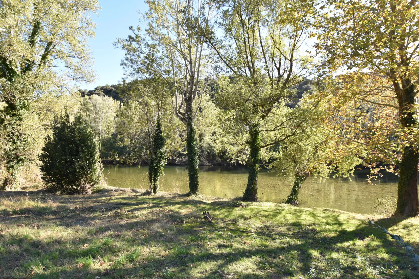 Au bord de L'Orb-Gardens summer