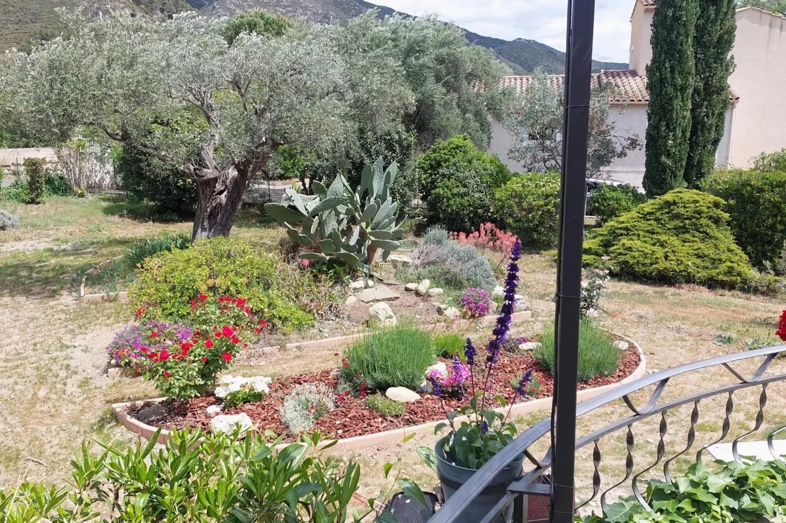 Au bord de L'Orb-Gardens summer