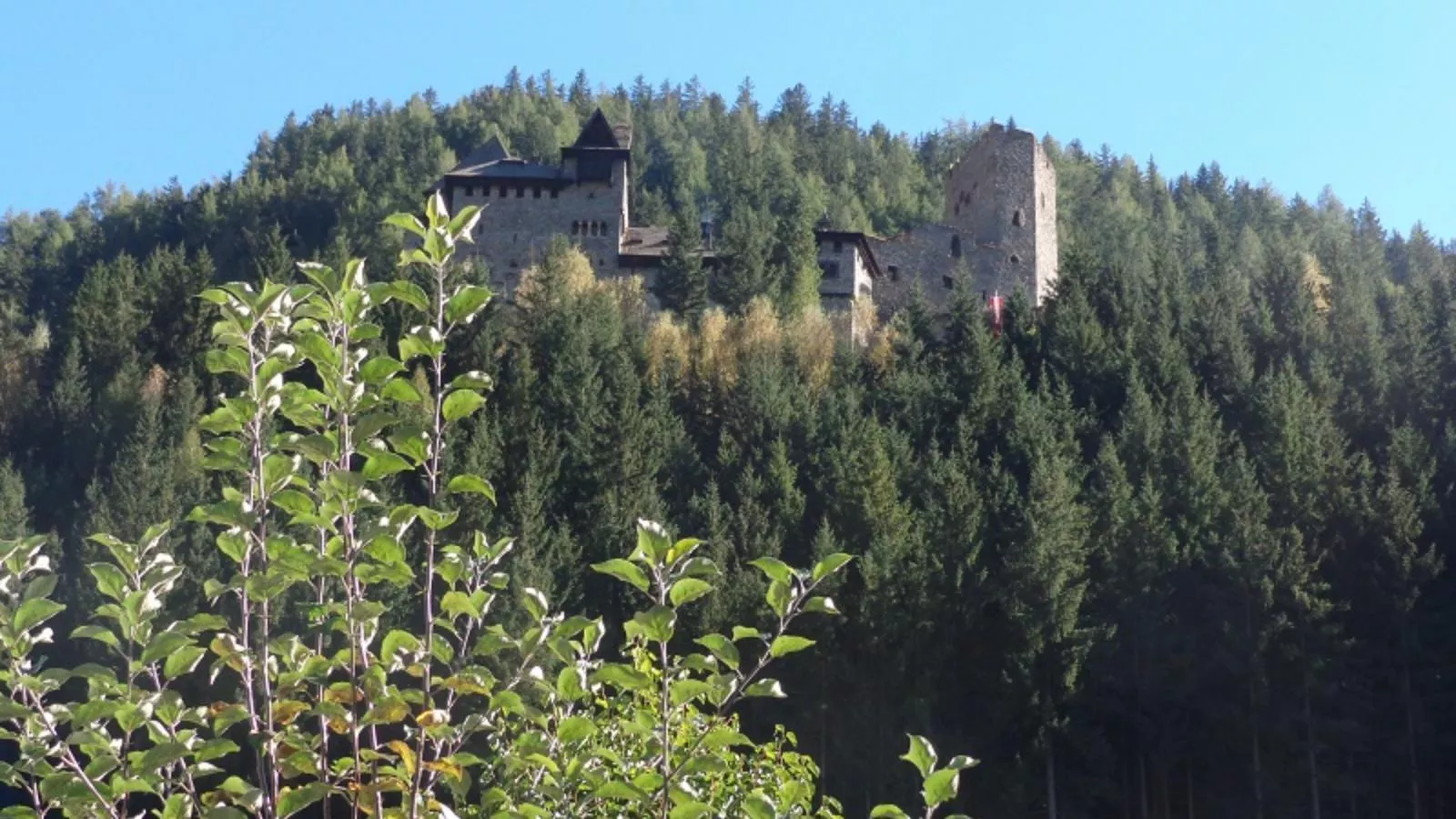 Schloßblick-View in summer