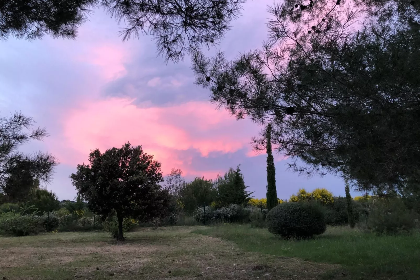 Gilde d'Oc-Gardens summer