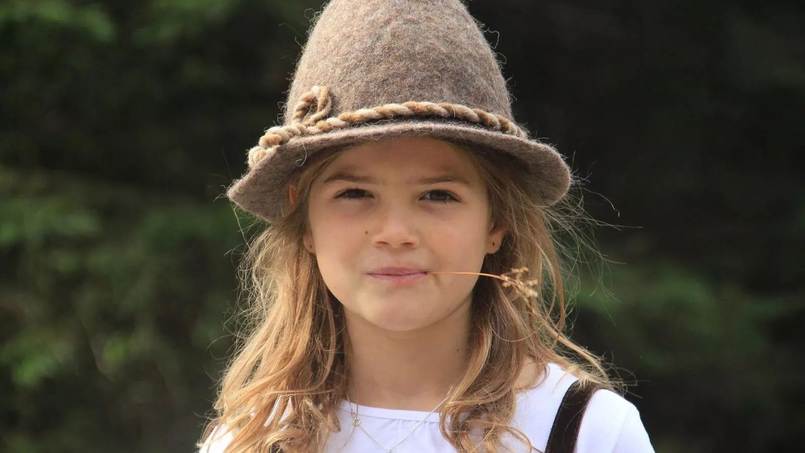 Goldhänchen-Gebiete Sommer 20 km