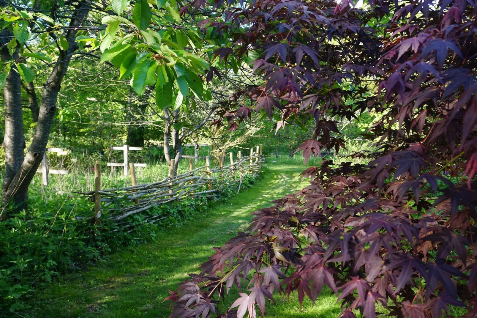 4 Sterne Ferienhaus in BRÖSARP-Im Freien