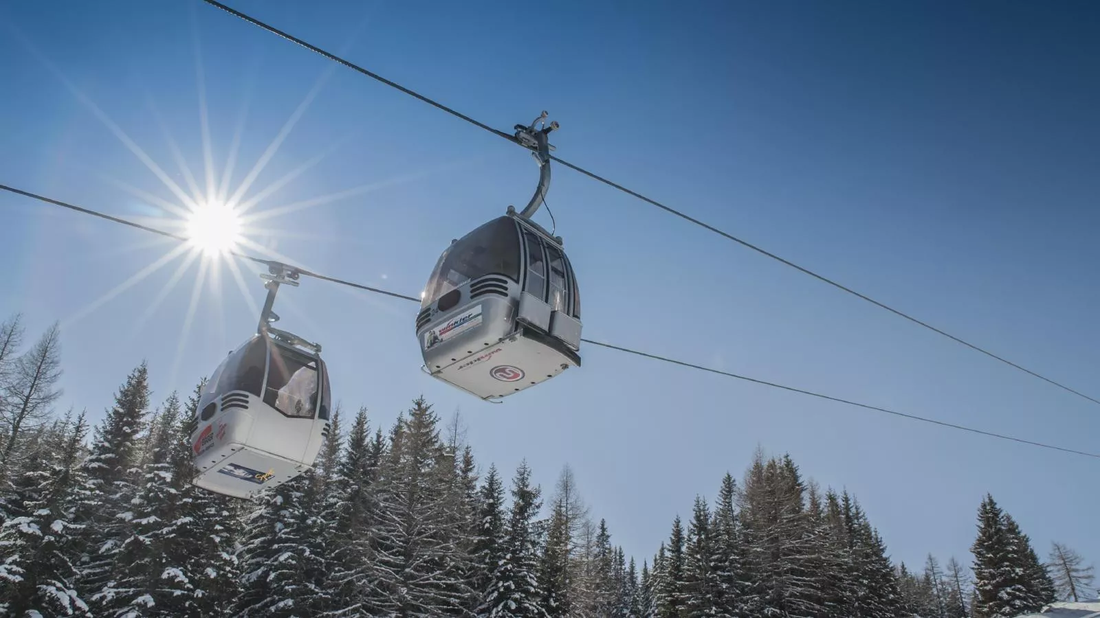 Goldhänchen-Gebiet Winter 20 km